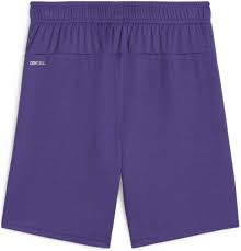 (PUMA-705752-10) Puma TeamGoal Shorts - Purple [PURPLE]