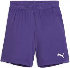 (PUMA-705752-10) Puma TeamGoal Shorts - Purple [PURPLE]