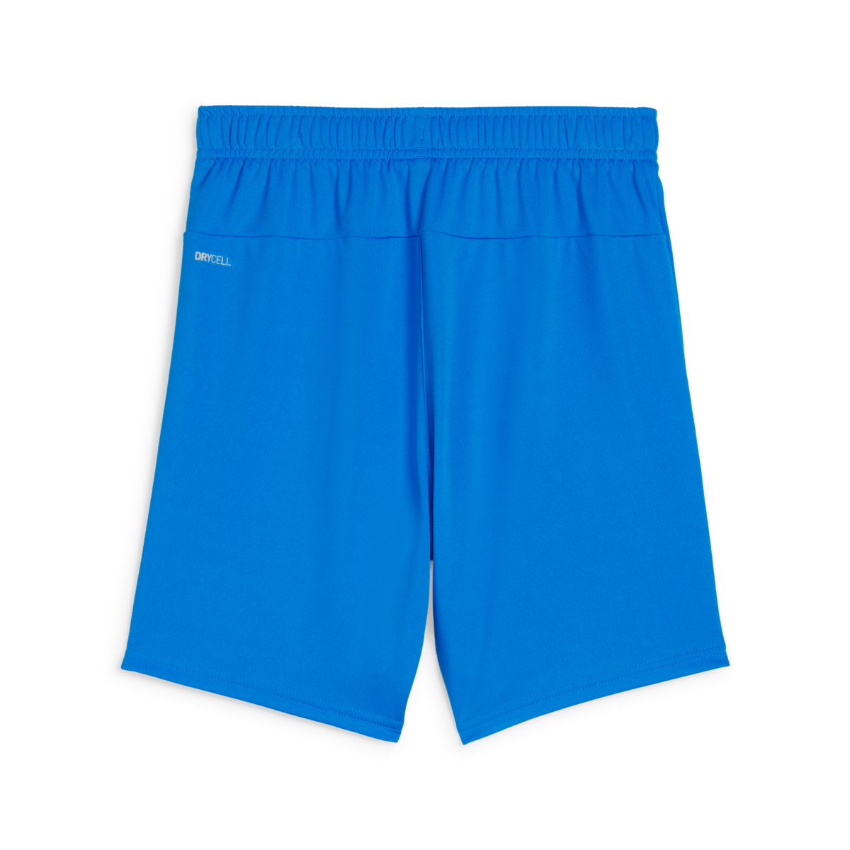 (PUMA-705753-02) Puma Youth Teamgoal Shorts - Royal Blue