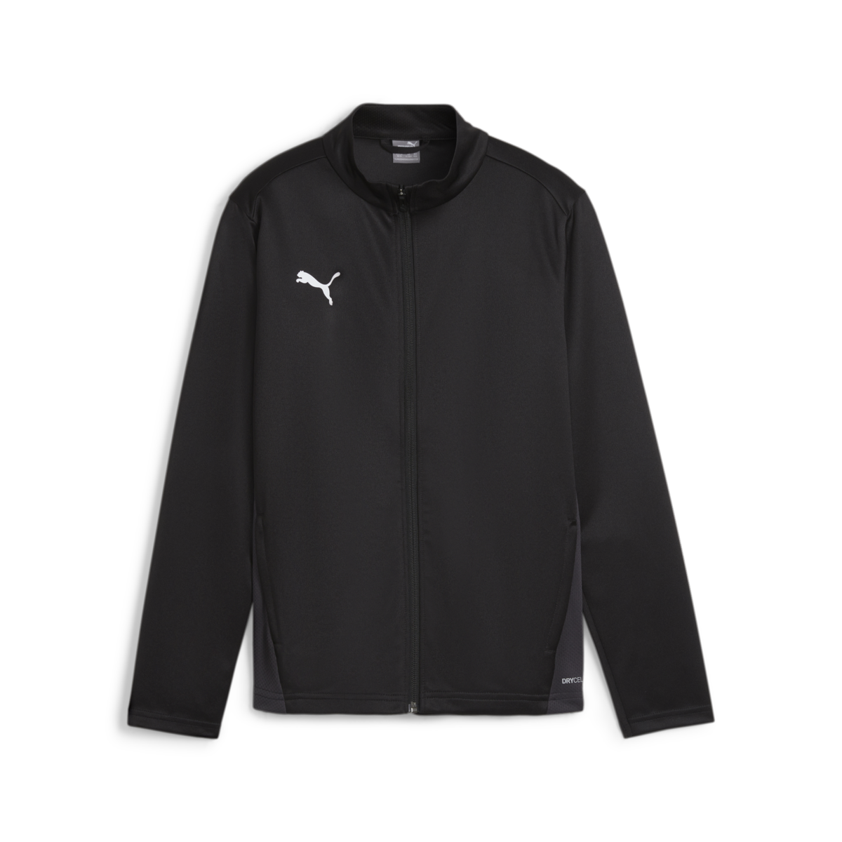 Puma Youth Team Goal Training Jacket - Black