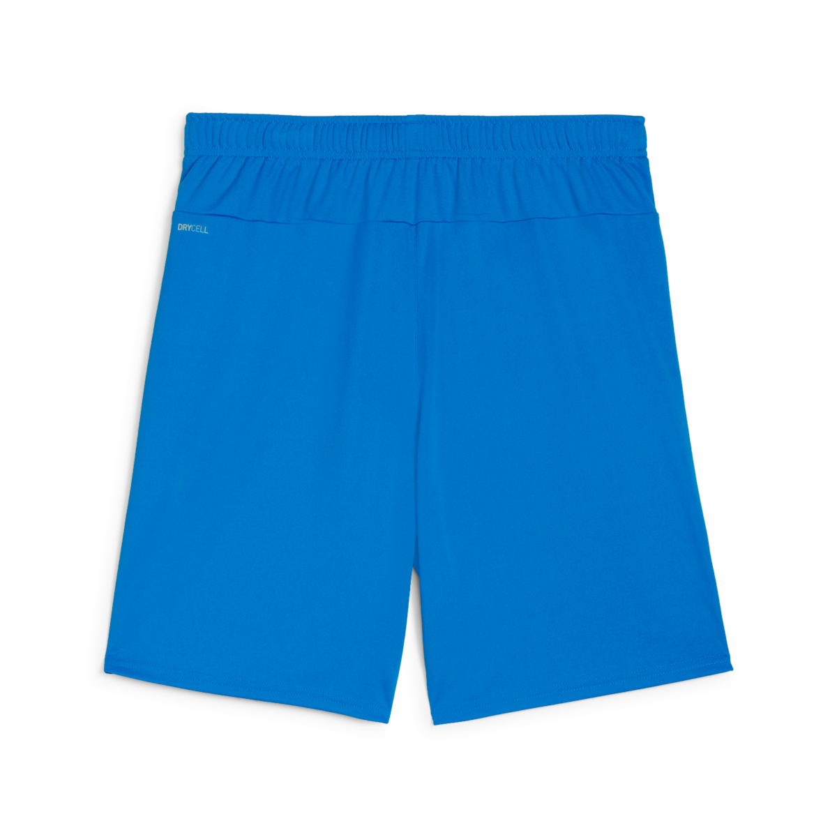 (PUMA-705752-02) Puma Teamgoal Shorts - Blue