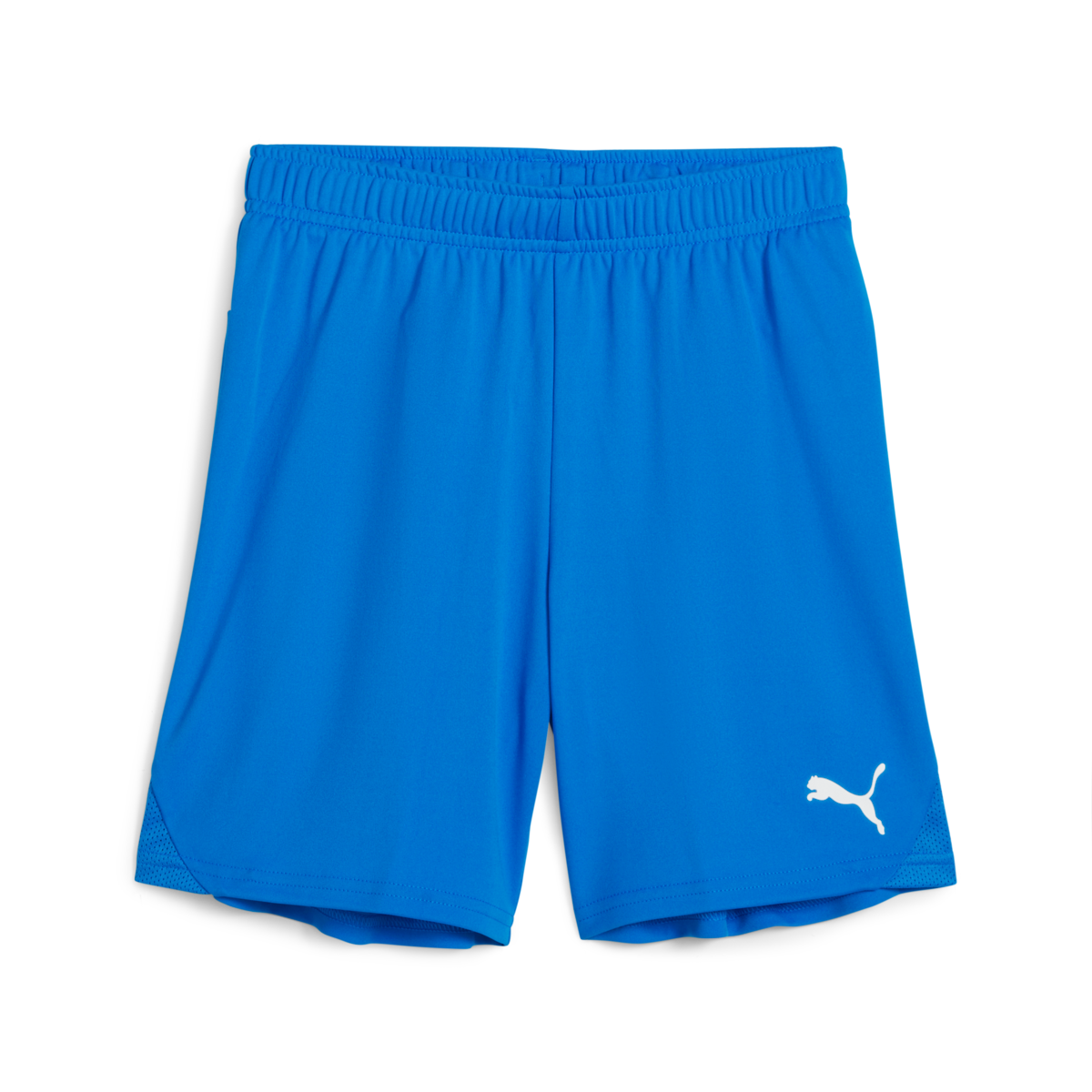 (PUMA-705753-02) Puma Youth Teamgoal Shorts - Royal Blue