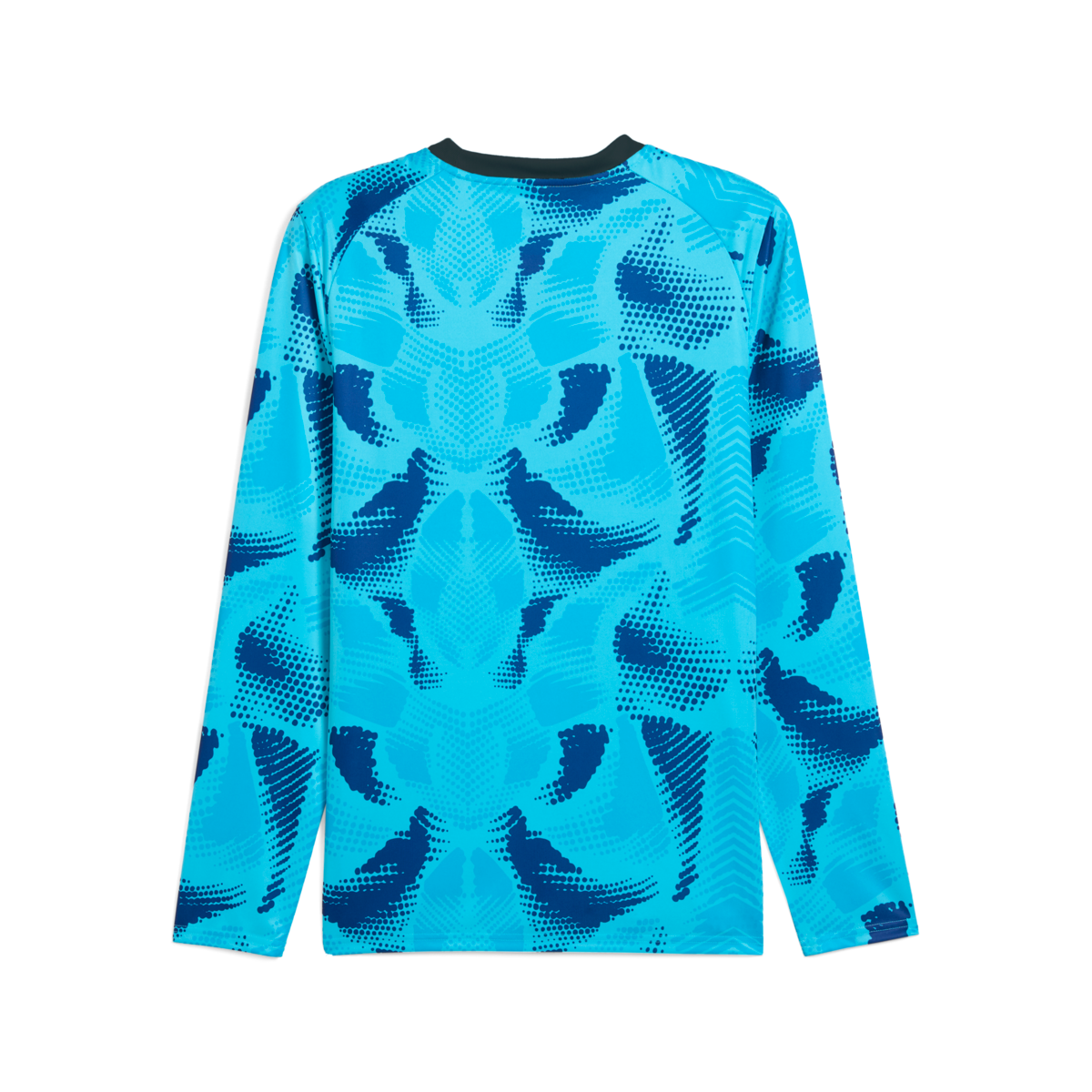 (PUMA-706519-02) Puma Teamtarget Long Sleeve Goalkeeper Jersey - Blue