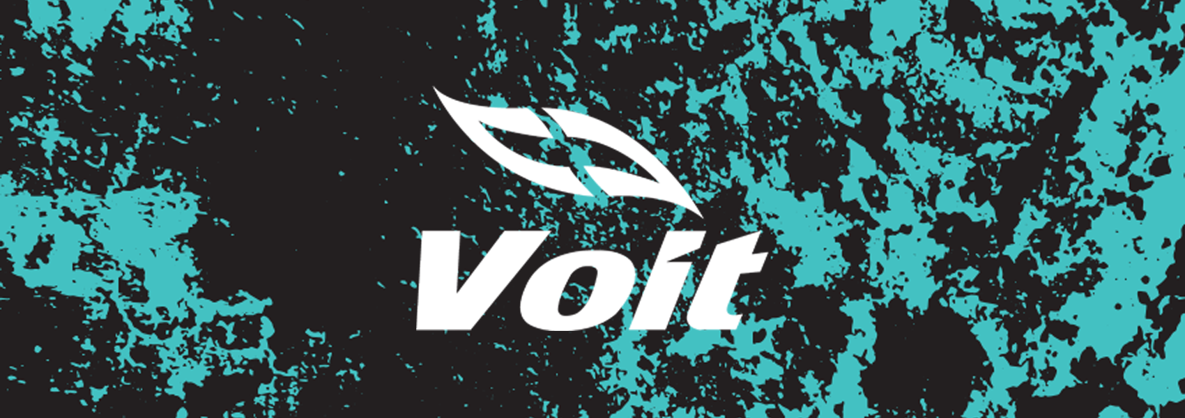 Voit